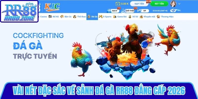 Vài nét đặc sắc về sảnh Đá Gà RR88